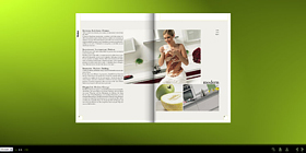 flippingbook flash����Ч�����a