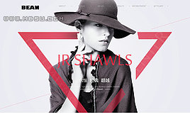 ����html5���b���˾�Wվģ�� �����_����