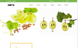 ����ģ��-푑�ʽ�Gɫ����aƷ��˾�Wվ����ģ��[���m��]