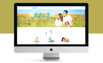 Ͷ�Y��ؔ���ڹ�˾�������m��ģ��