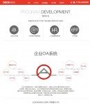 程序開發