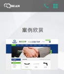 手機版案例欣賞