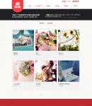 �����p��