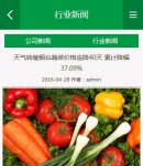 手機新聞內(nèi)容