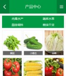 手機產(chǎn)品列表