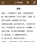 手機新聞內容頁
