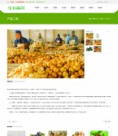 �aƷ�����