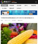 m文章內(nèi)容頁