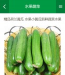 �֙C�aƷԔ���