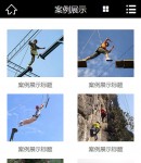 手機(jī)案例展示