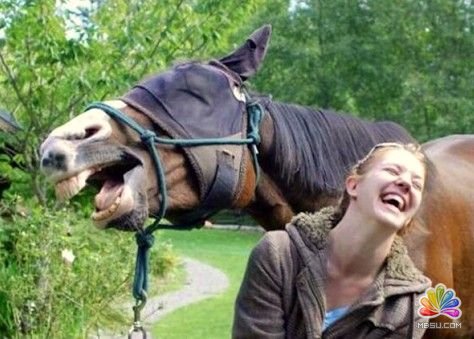 ��վ�L�D�ԡ����ϰ��� վ�L���� ��11��