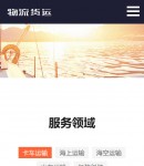 手機(jī)服務(wù)領(lǐng)域