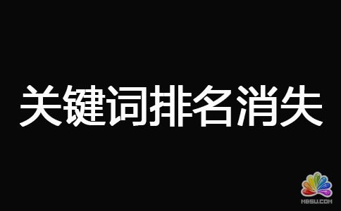 網(wǎng)站被K之后快速恢復(fù)技巧 經(jīng)驗心得 第9張