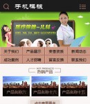 手機(jī)首頁(yè)