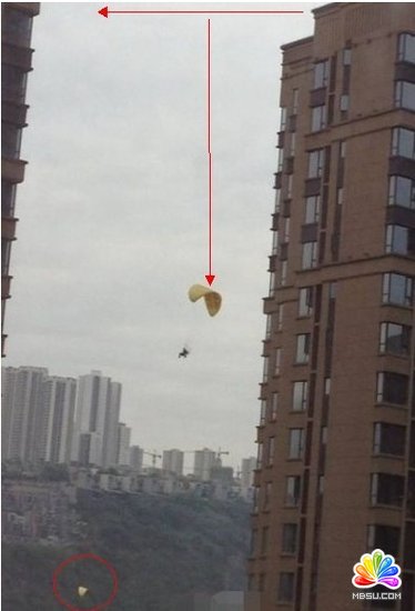 反思雅安地震社交媒體表現:冷靜是最好的救援